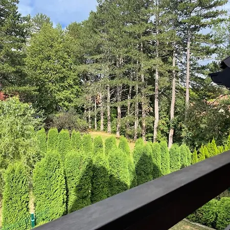 Dusan Lux Palisad 1000 Apartment *