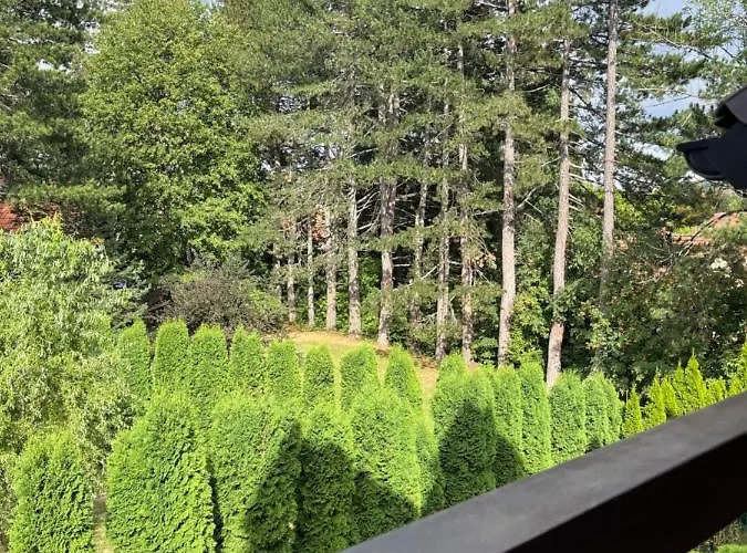 Dusan Lux Palisad 1000 아파트 *